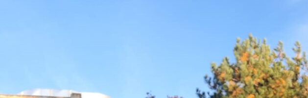 Action Maux al Sermig