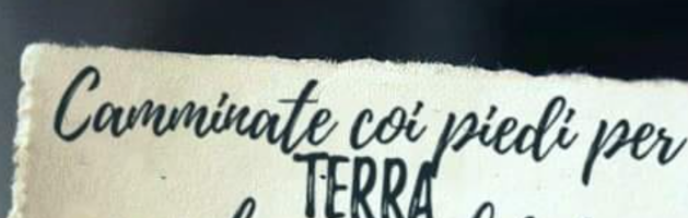 Inno della scuola primaria 2026
