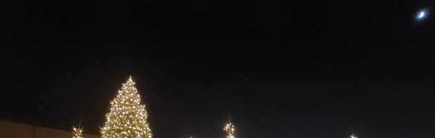 APERITIVO di NATALE MAUX